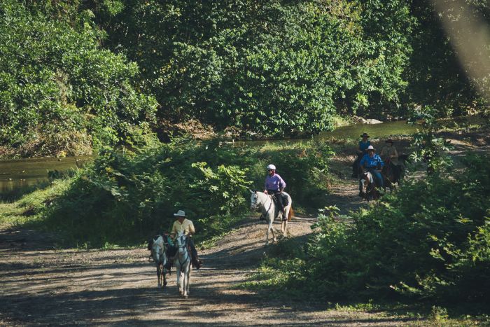 Carara Rainforest & Coastal Trail