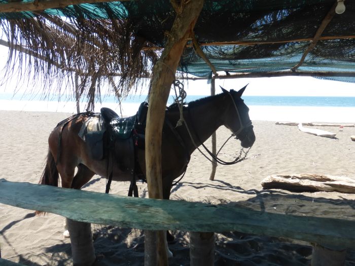From Coast to Coast in Costa Rica