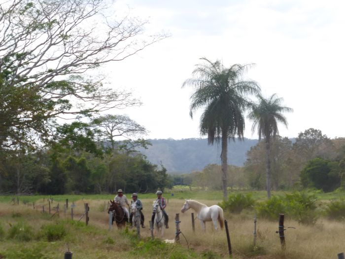 From Coast to Coast in Costa Rica