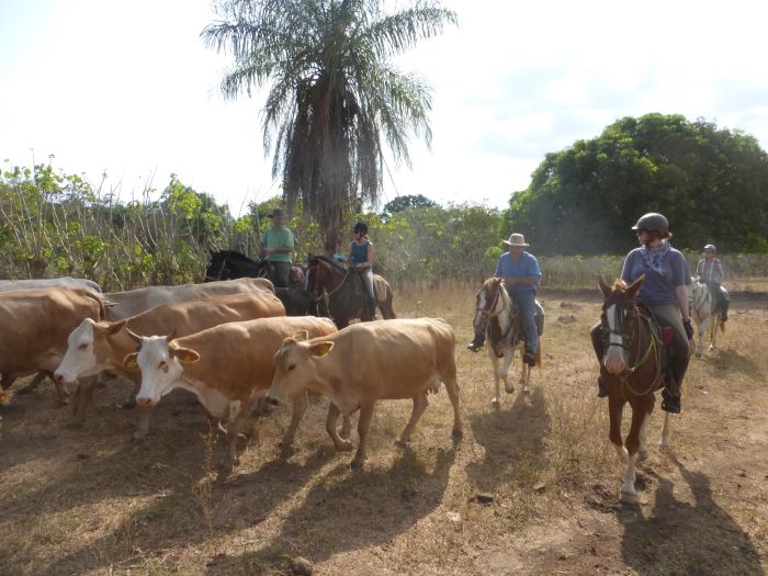 From Coast to Coast in Costa Rica