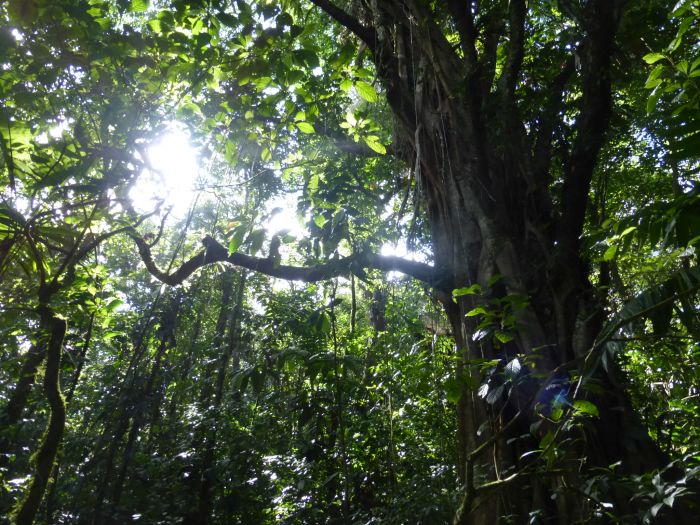 From Coast to Coast in Costa Rica