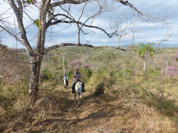 From Coast to Coast in Costa Rica
