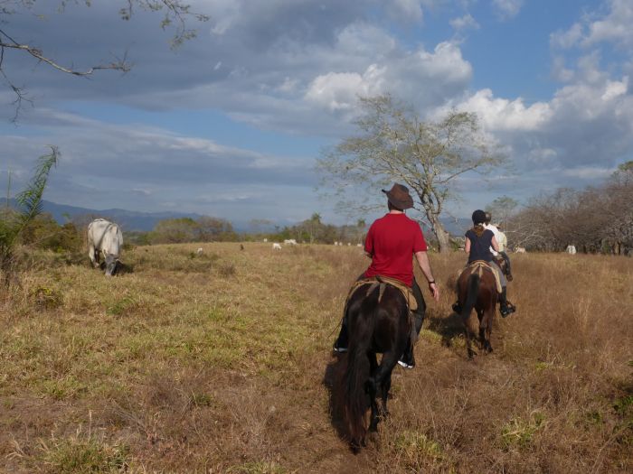 From Coast to Coast in Costa Rica