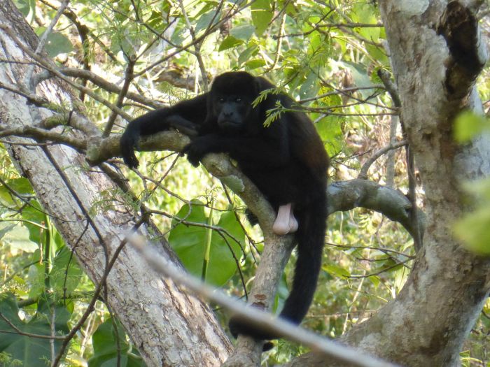 From Coast to Coast in Costa Rica