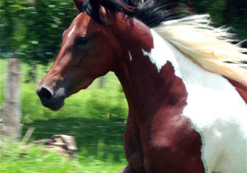 Volcanos & Sea in Guanacaste
