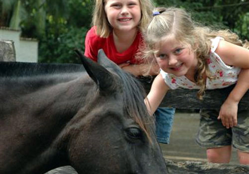 Volcanos & Sea in Guanacaste