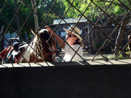 Volcanos & Sea in Guanacaste