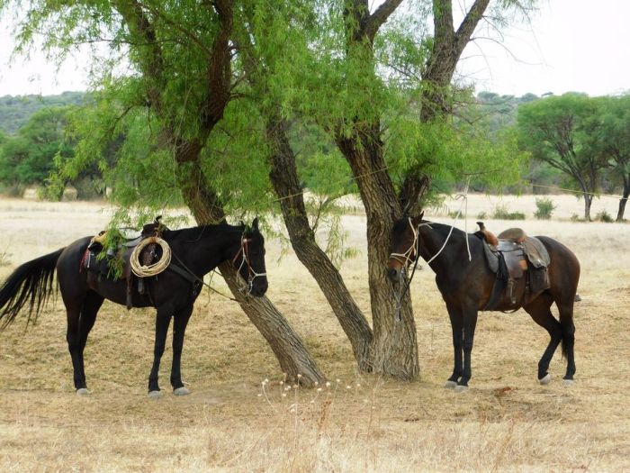 Historic Silver Route in the Central Highlands