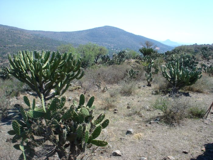 Historic Silver Route in the Central Highlands