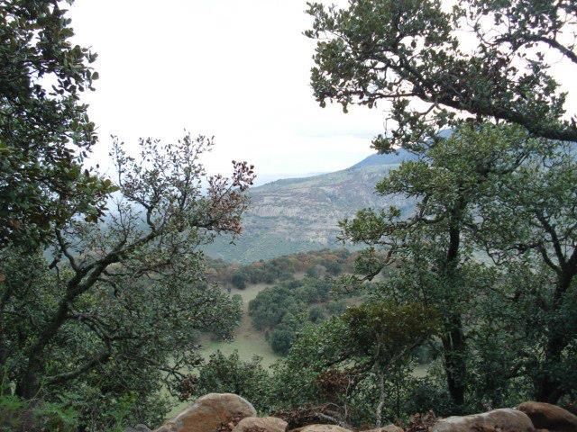 Historic Silver Route in the Central Highlands