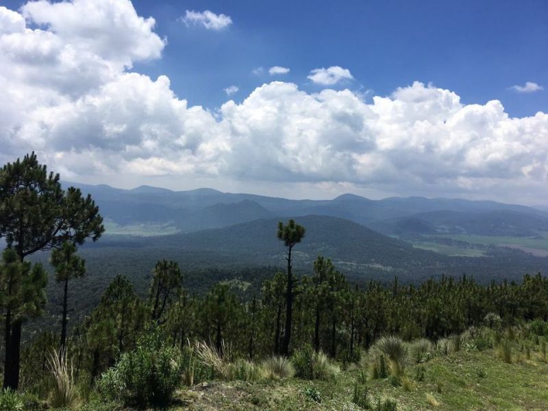 Ajusco Volcano and wilderness rides