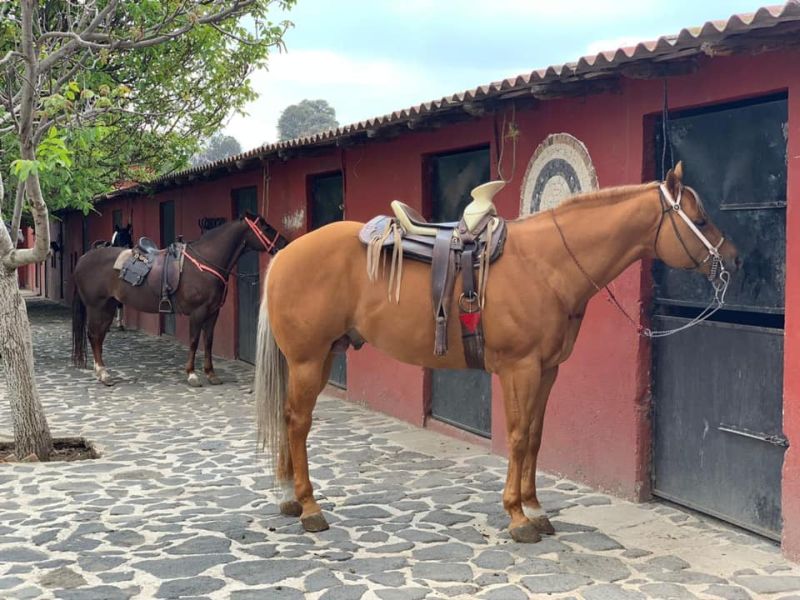 Ajusco Volcano and wilderness rides