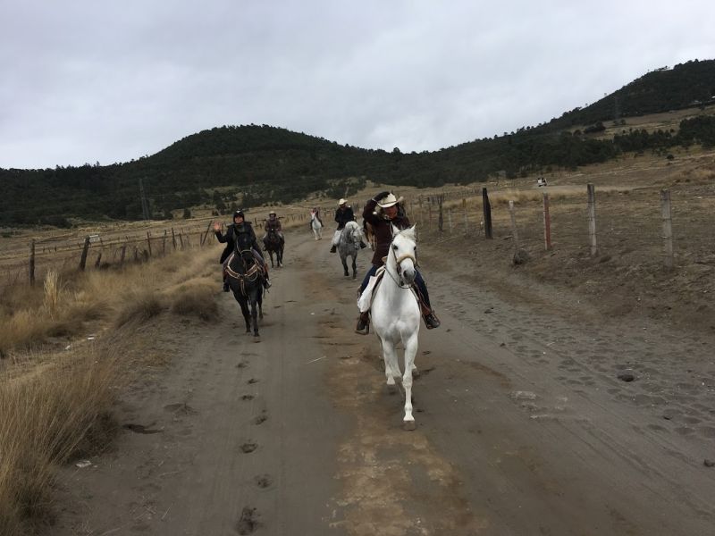 Ajusco Volcano and wilderness rides