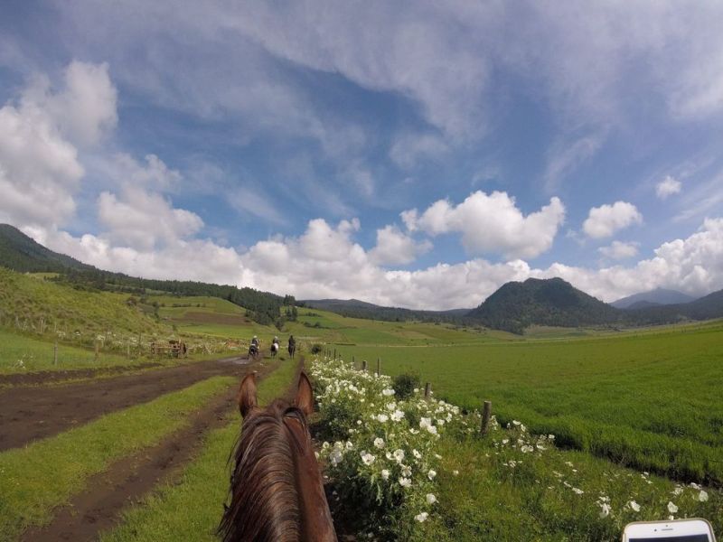 Ajusco Volcano and wilderness rides