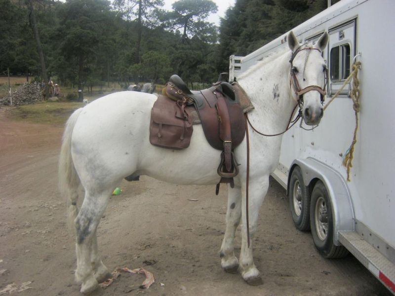 Ajusco Volcano and wilderness rides