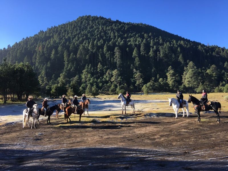 Ajusco Volcano and wilderness rides