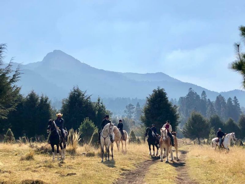 Ajusco Volcano and wilderness rides