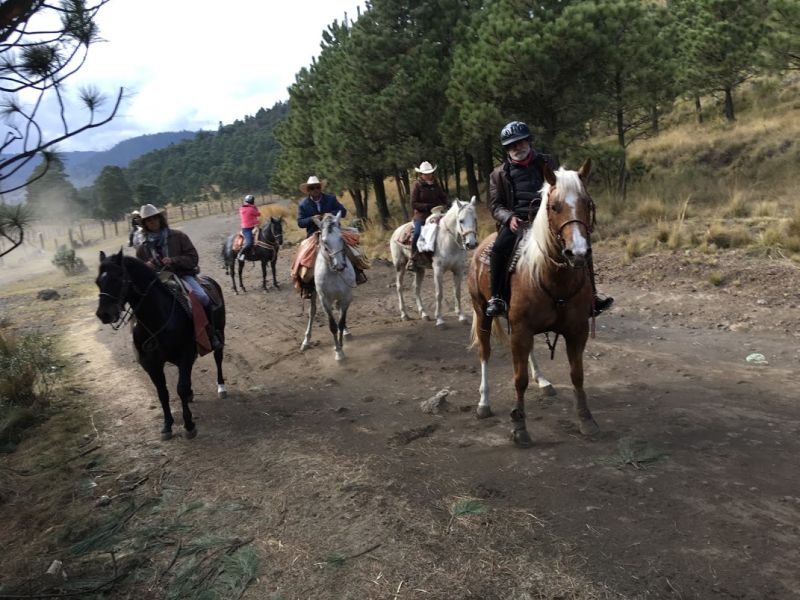Ajusco Volcano and wilderness rides