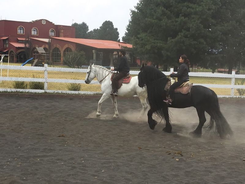 Ajusco Volcano and wilderness rides