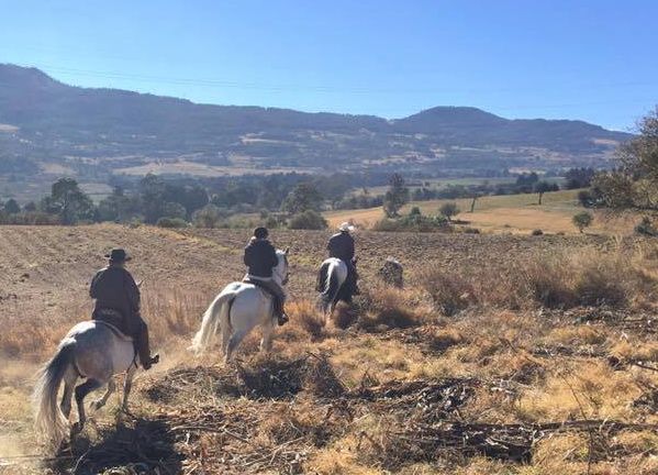 Ajusco Volcano and wilderness rides