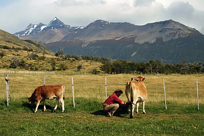 Patagonia Glacier Ride