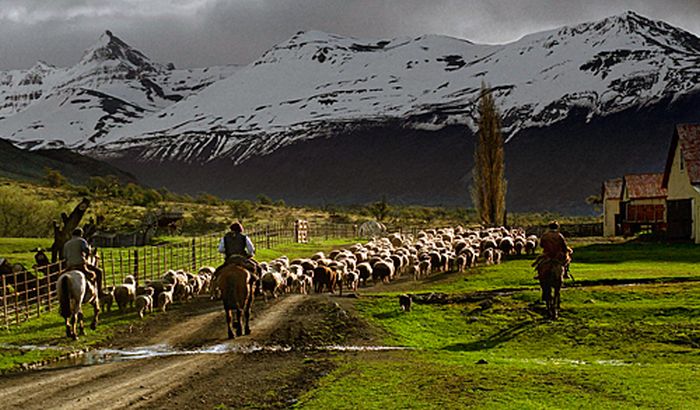 Patagonia Glacier Ride