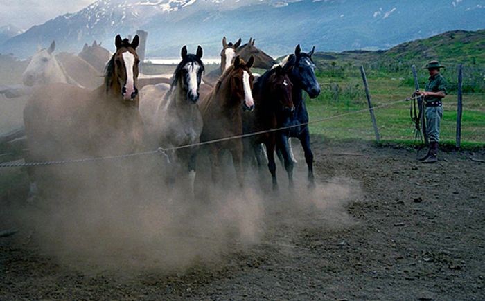 Patagonia Glacier Ride