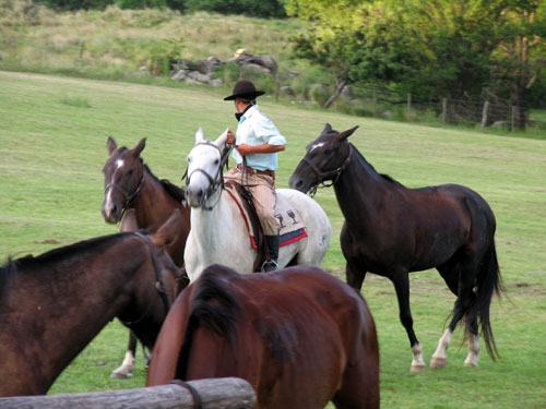 Estancia stay in Sierra Chicas