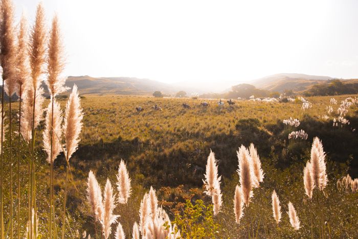 Estancia stay in Sierra Chicas