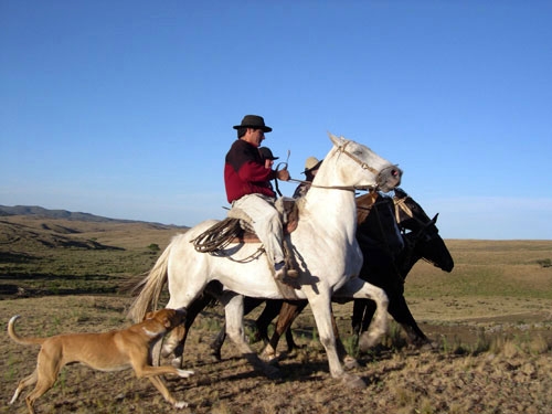 Estancia stay in Sierra Chicas