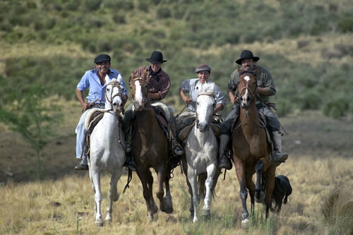 Estancia stay in Sierra Chicas