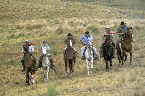 Estancia stay in Sierra Chicas