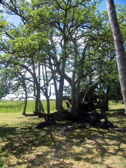 Estancia stay in Sierra Chicas