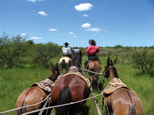 Estancia stay in Sierra Chicas