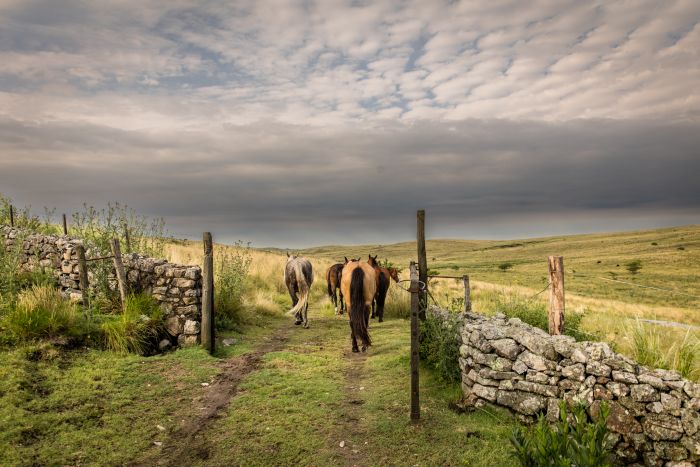 Estancia stay in Sierra Chicas
