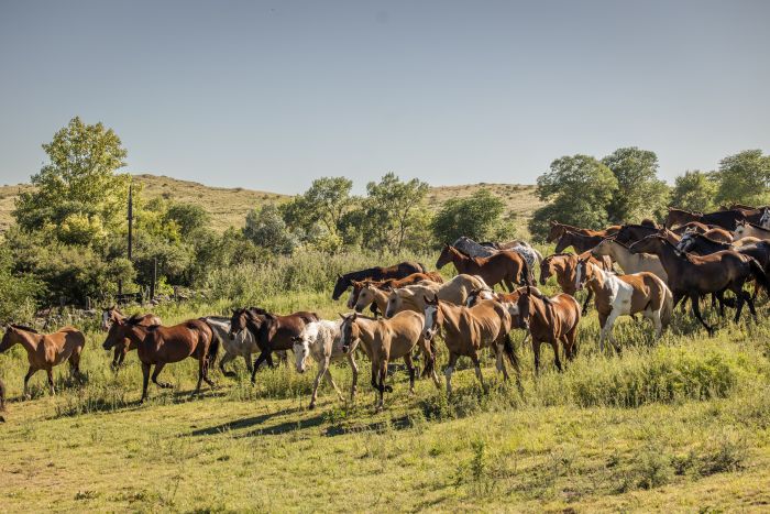 Estancia stay in Sierra Chicas