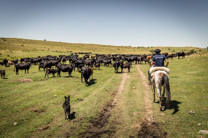 Estancia stay in Sierra Chicas