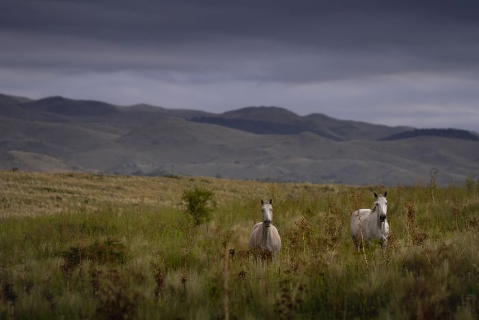 Estancia stay in Sierra Chicas