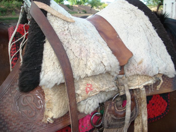 Inca Trail and Cattle Drive near Salta