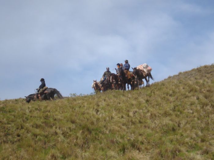 Inca Trail and Cattle Drive near Salta