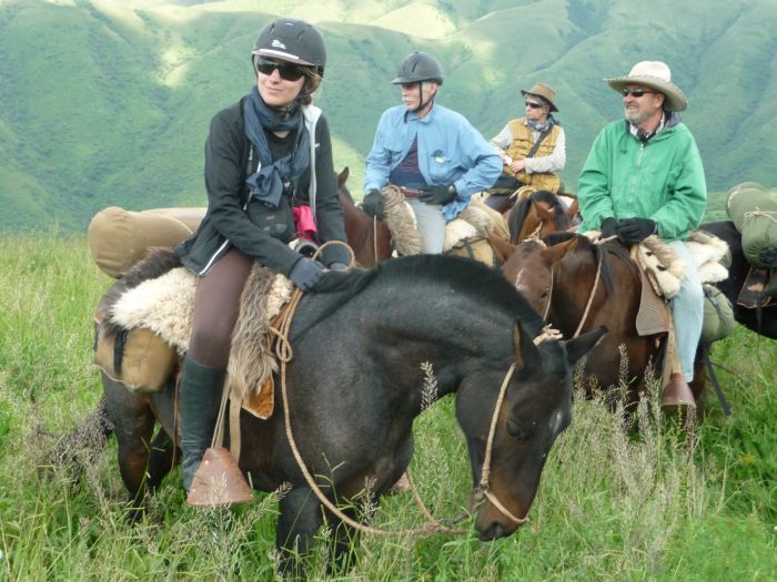 Inca Trail and Cattle Drive near Salta