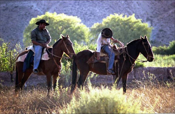 Inca Trail and Cattle Drive near Salta