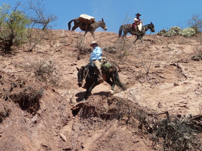 Inca Trail and Cattle Drive near Salta