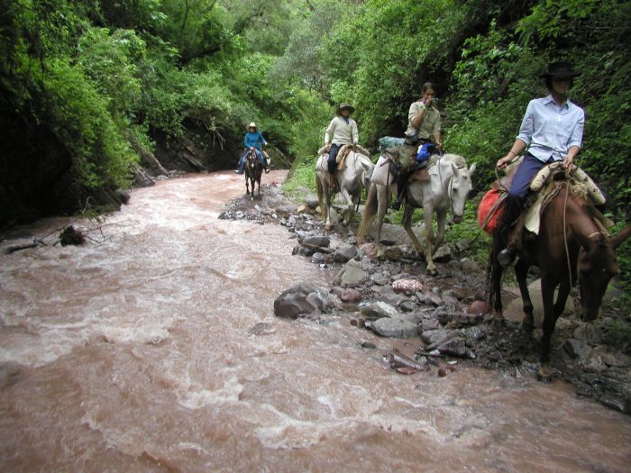 Inca Trail and Cattle Drive near Salta