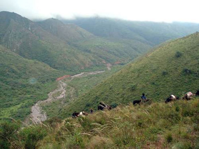 Inca Trail and Cattle Drive near Salta