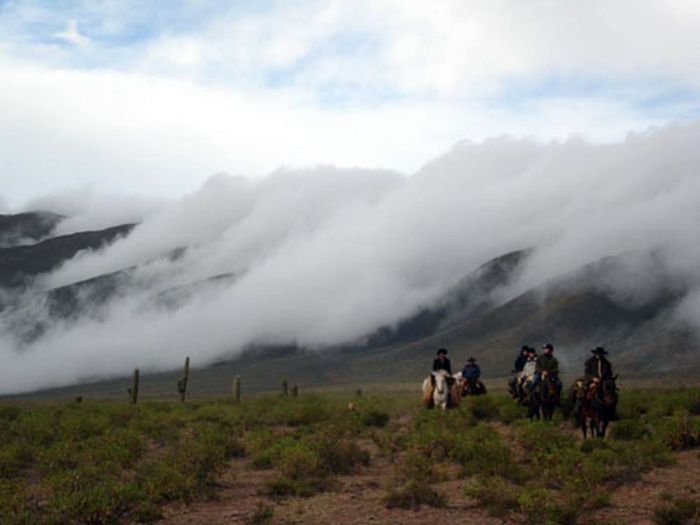 Inca Trail and Cattle Drive near Salta