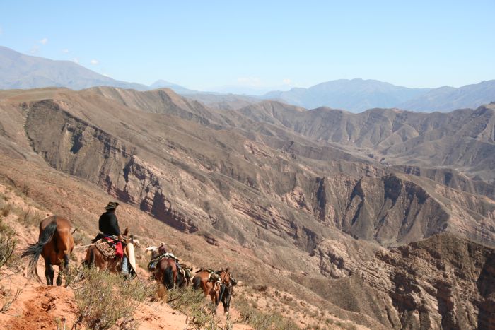 Inca Trail and Cattle Drive near Salta