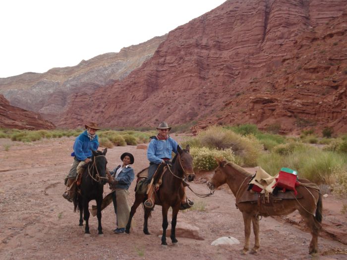 Inca Trail and Cattle Drive near Salta
