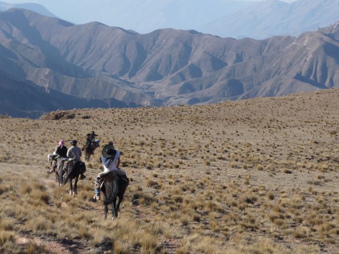 Inca Trail and Cattle Drive near Salta