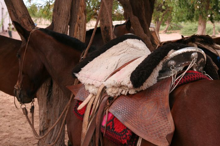 Inca Trail and Cattle Drive near Salta